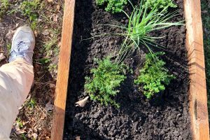 Garden Philosophy Quotes