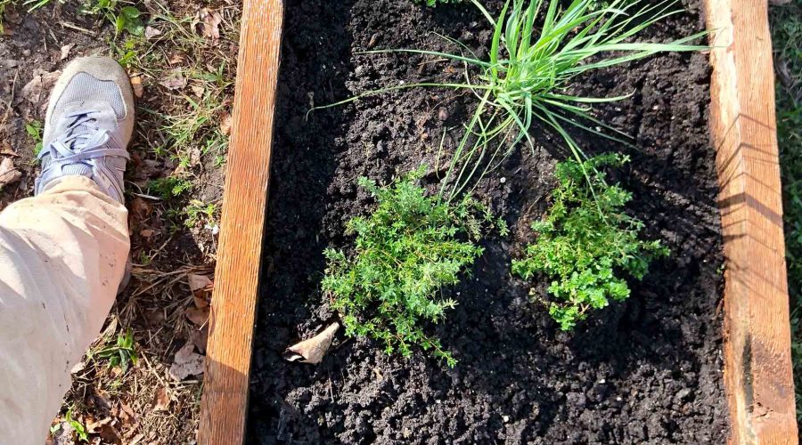 Garden Philosophy Quotes